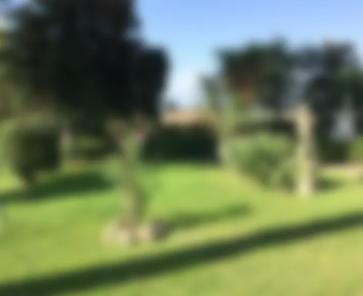 Giardino sfocato